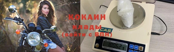 дживик Алексин