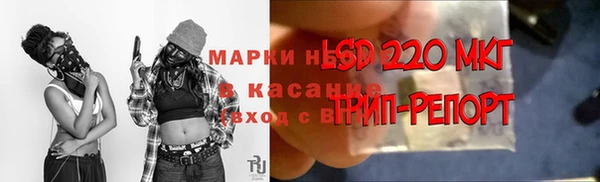 дживик Алексин