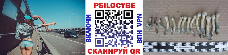 Галлюциногенные грибы Psilocybe  Раменское 