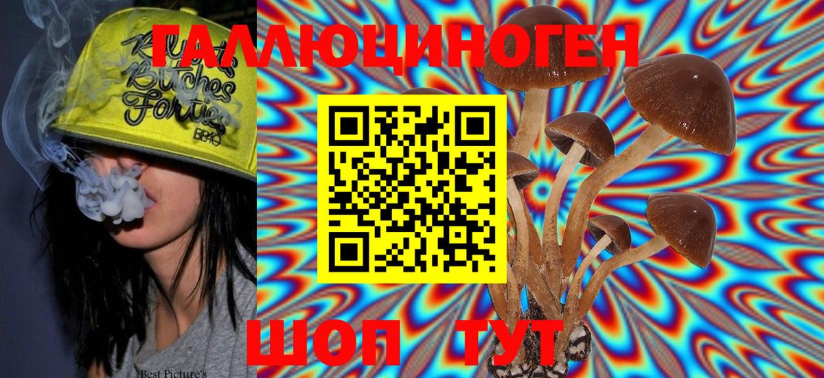 Псилоцибиновые грибы Cubensis  Вход с VPN  Галлюциногенные грибы Psilocybe  Раменское 
