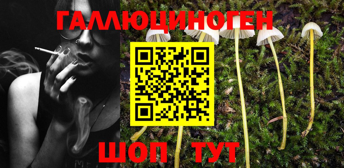 Галлюциногенные грибы прущие грибы Раменское